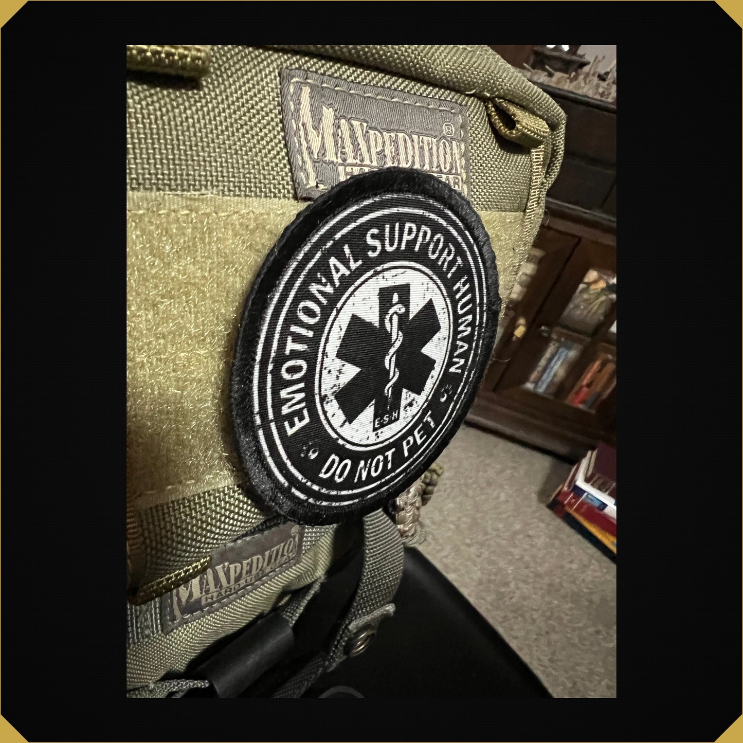 Emotional Support HUMAN Do Not Pet Morale Patch
