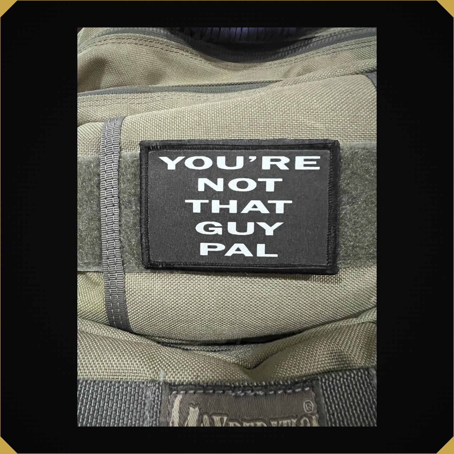 You're Not That Guy Pal Morale Patch