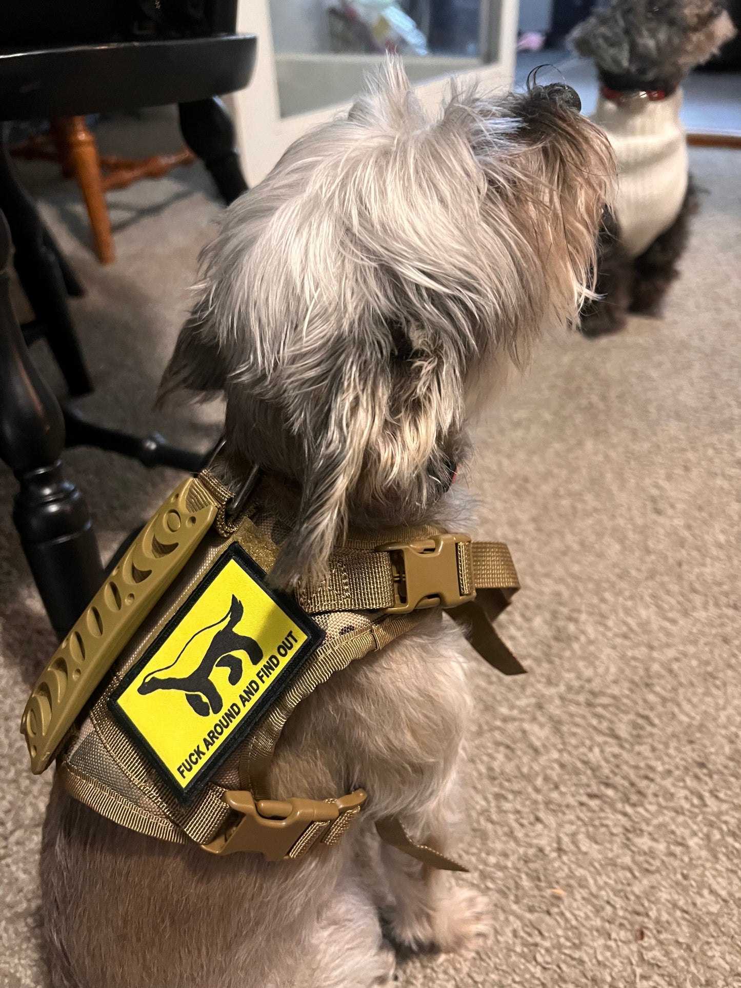 FucK Around and Find Out Honey Badger Morale Patch Morale Patches Redheaded T Shirts