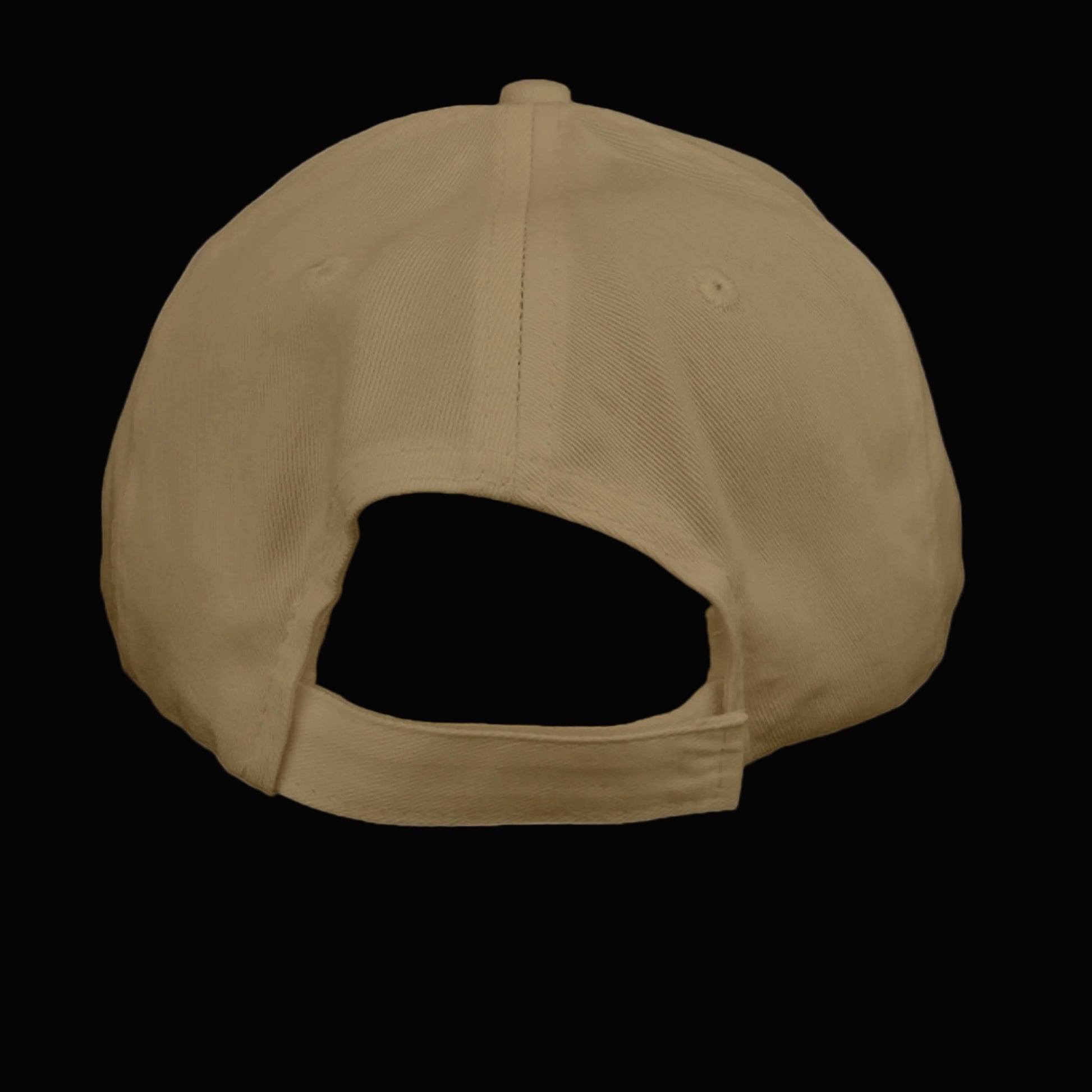 Coyote Brown - CP80 - BACK