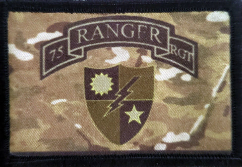 TRS 20th Anniversary Velcro Patch - The Ranger Station