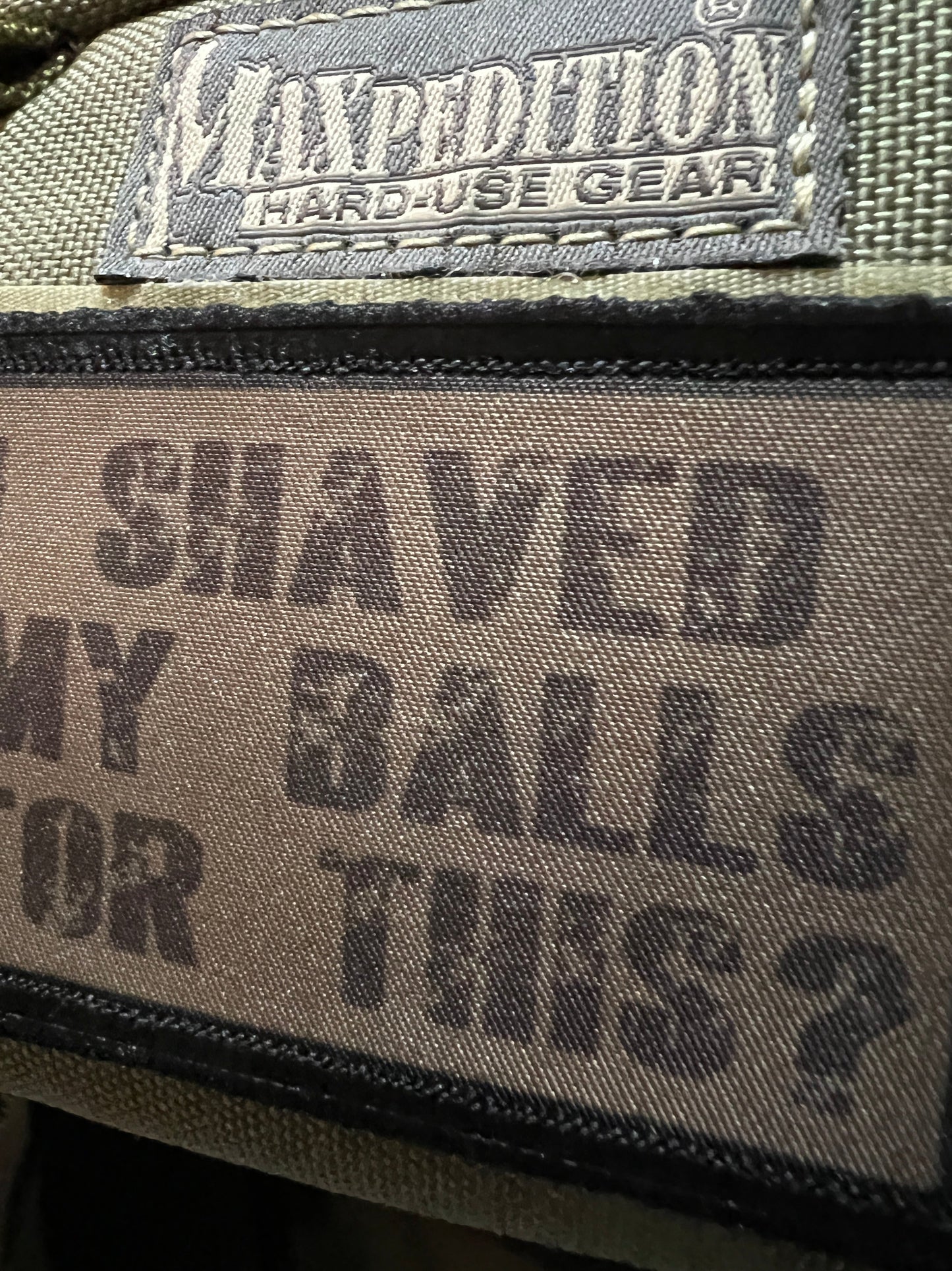 I Shaved My Balls for This Morale Patch Morale Patches Redheaded T Shirts 